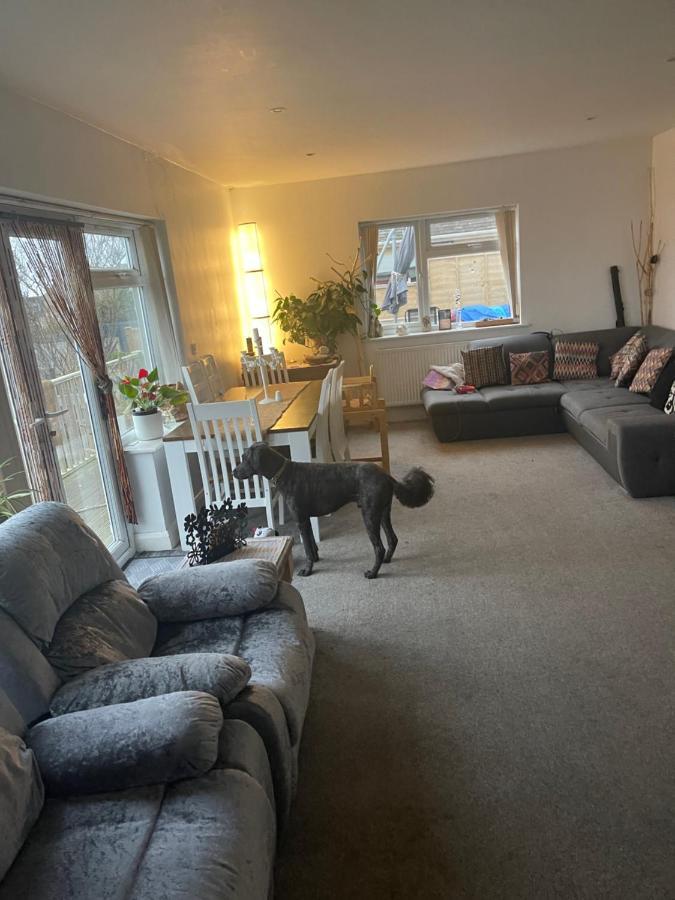 Cosy Beach Getaway Saltdean المظهر الخارجي الصورة
